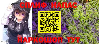 молекула духа Гагарин