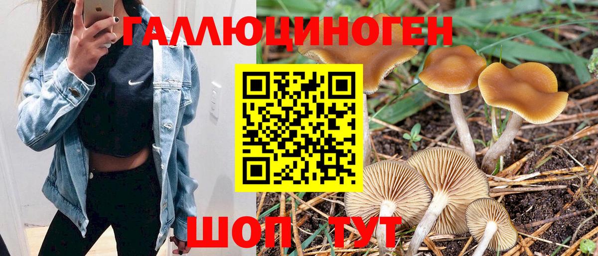 Галлюциногенные грибы MAGIC MUSHROOMS Нижний Тагил