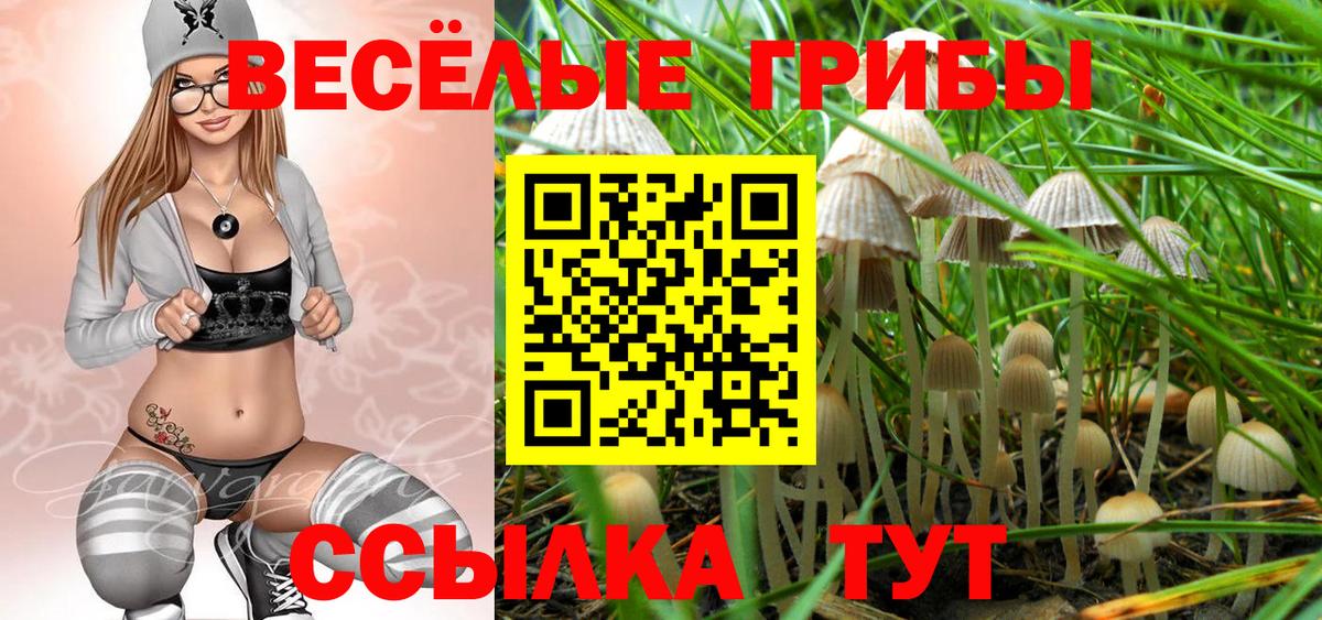 Нижний Тагил  Галлюциногенные грибы Psilocybe  Вход с VPN 